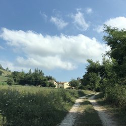 Casa Edera