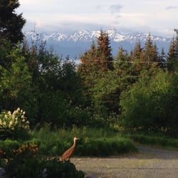 Moose Creek Cabins - View from the driveway, with resident crane...doesn't at all do it justice because the view is amazing 360.