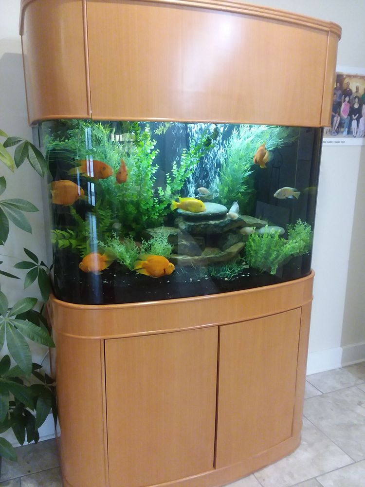 XU WELLNESS CENTER 20 Photos & 10 Reviews Acupuncture 235