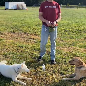 KompK9 - Pet Training Near Me KompK9 - Pet Training Near Me