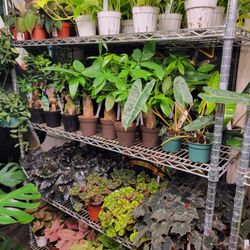 Eco Gro