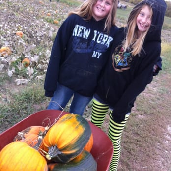 Pumpkins Etc. - We opted to pick our own pumpkins right off the vine in the pumpkin fields! - Pumpkin Patches Near Me - Platte City, Missouri Pumpkins Etc. - We opted to pick our own pumpkins right off the vine in the pumpkin fields! - Pumpkin Patches Near Me - Platte City, Missouri