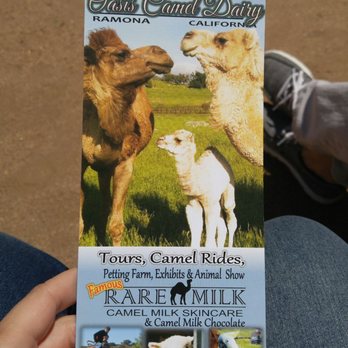 Oasis Camel Dairy - Attraction Farms Near Me - Ramona, California Oasis Camel Dairy - Attraction Farms Near Me - Ramona, California