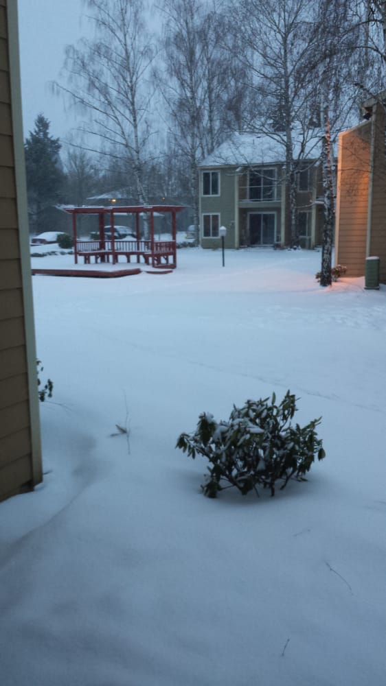 BIRCH MEADOW APARTMENTS Request Information 11625 SW 5th St