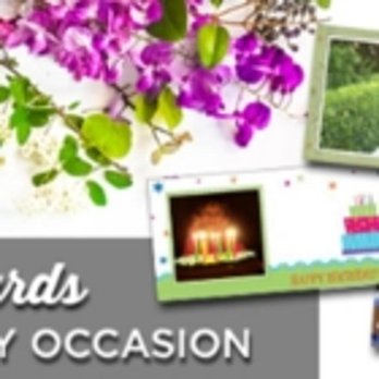 Bell Arte Camera - Photo - Photography Stores & Services Near Me - Hamilton, Ontario