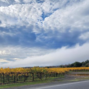 Shalia Vanderweken - Wine Country Real Estate Network - Real Estate Agents Near Me - Cloverdale, California Shalia Vanderweken - Wine Country Real Estate Network - Real Estate Agents Near Me - Cloverdale, California