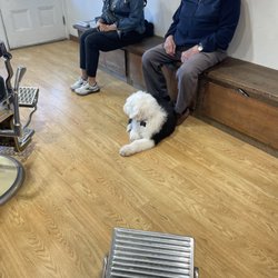 Teddy’s Barbershop - Inside you might find a puppy hanging with the patrons