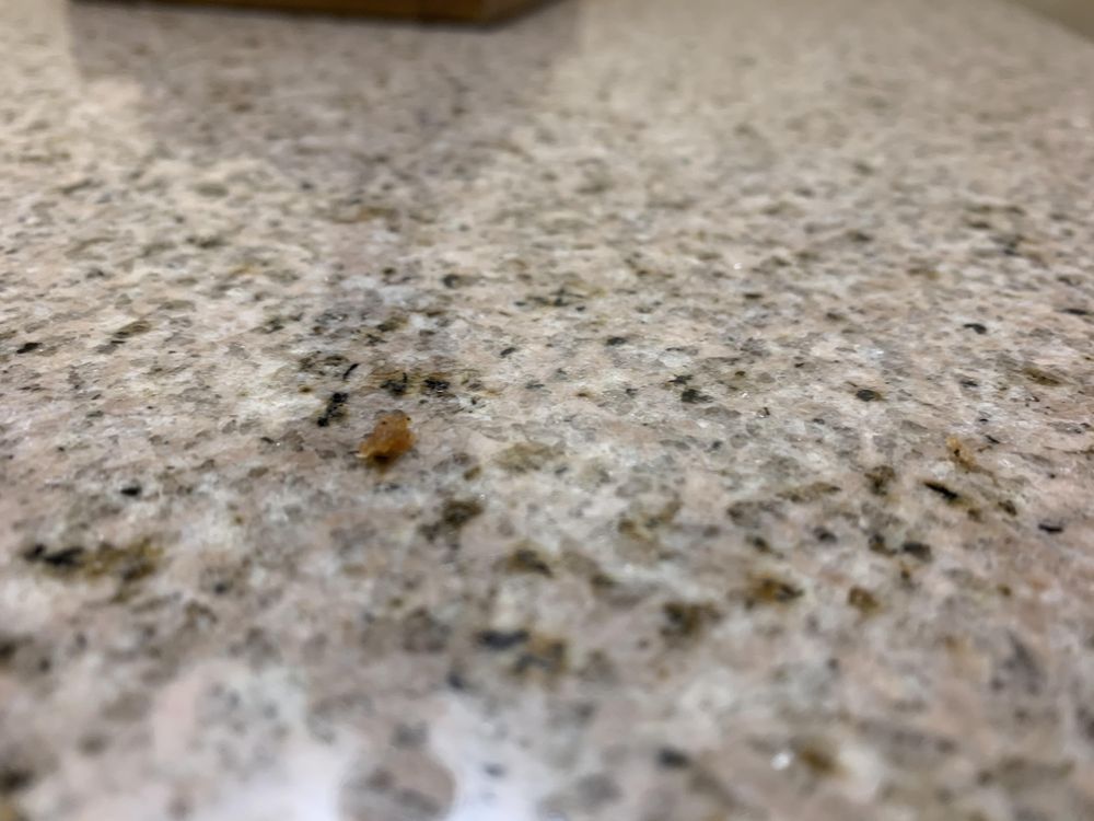 RED LION HOTEL KELSO LONGVIEW - 183 Photos & 126 Reviews - 510 Kelso Dr