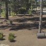 Photo of Master's Tree And Lawn Care