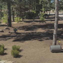 Master's Tree And Lawn Care