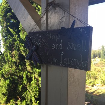 Ali'i Kula Lavender - haha cute sign - Tours Near Me - Kula, Hawaii