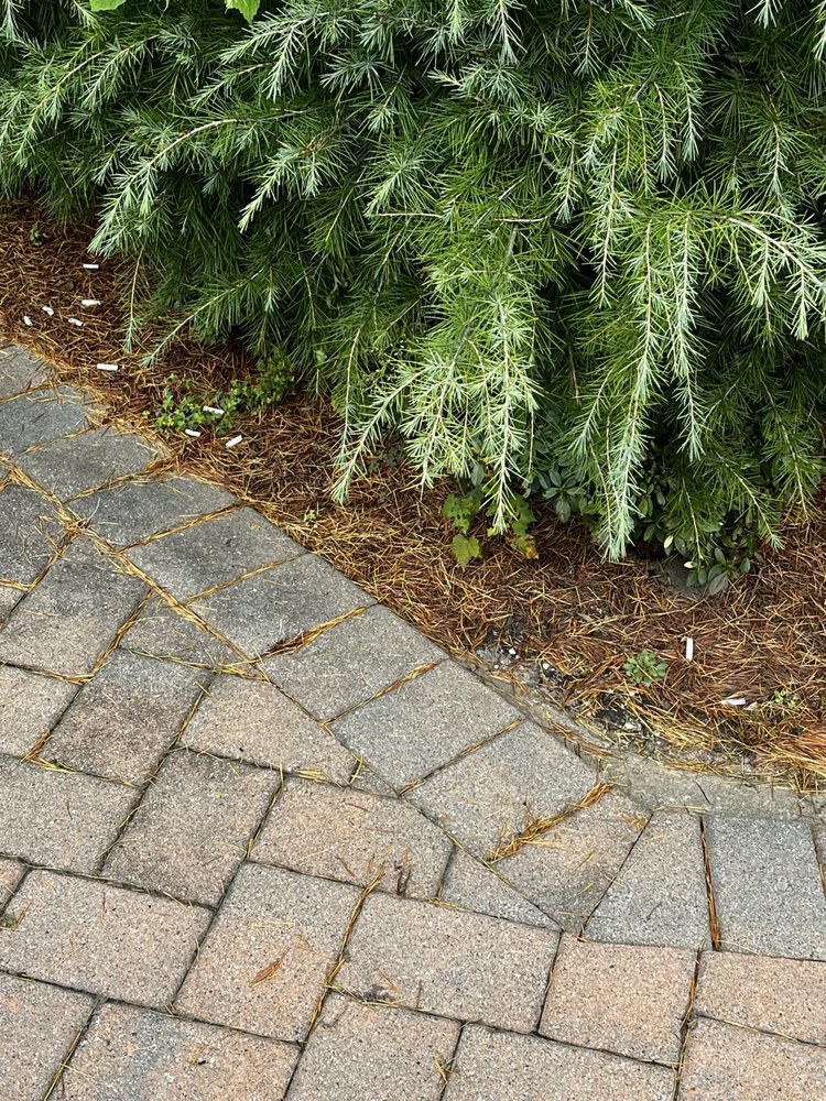 FAIRFIELD PROPERTIES Updated October 2024 64 Photos & 117 Reviews