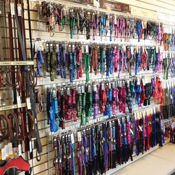 The Animal House - A great selection! - Pet Stores Near Me - Westbrook, Maine The Animal House - A great selection! - Pet Stores Near Me - Westbrook, Maine