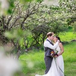 PlumTree Events - Night Owl Imagery
