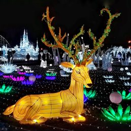 Christmas reindeer.