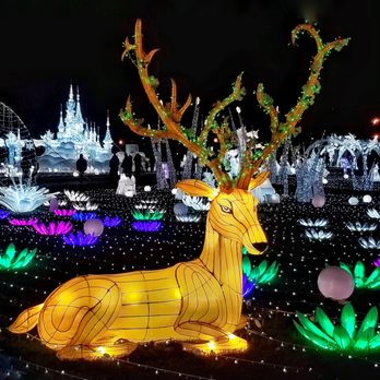 LuminoCity Festival - Christmas reindeer. - Festivals Near Me - New York, New York