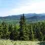 Photo of Moose Mountain