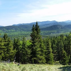 Moose Mountain