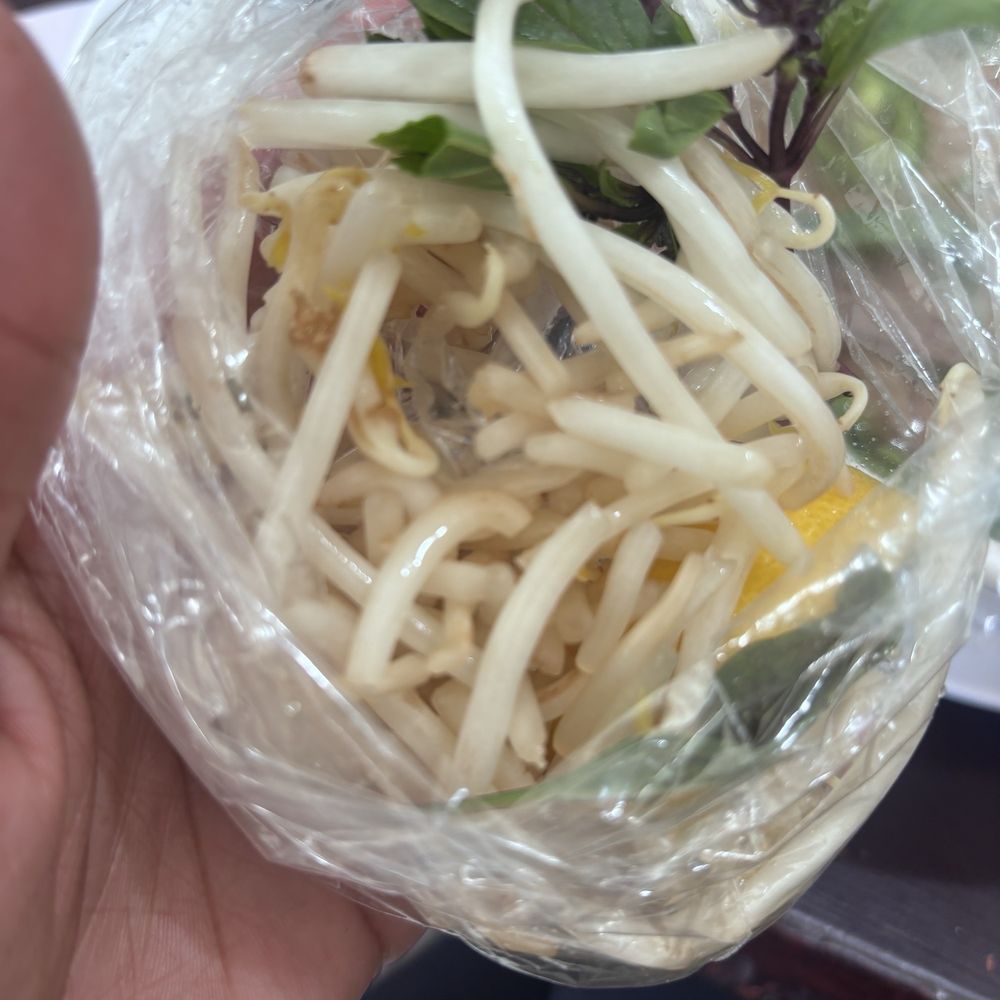 Pho DJ - Bean sprout was old looking - Vietnamese Near Me - Riverside, California Pho DJ - Bean sprout was old looking - Vietnamese Near Me - Riverside, California