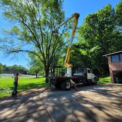 Mr Tree Service