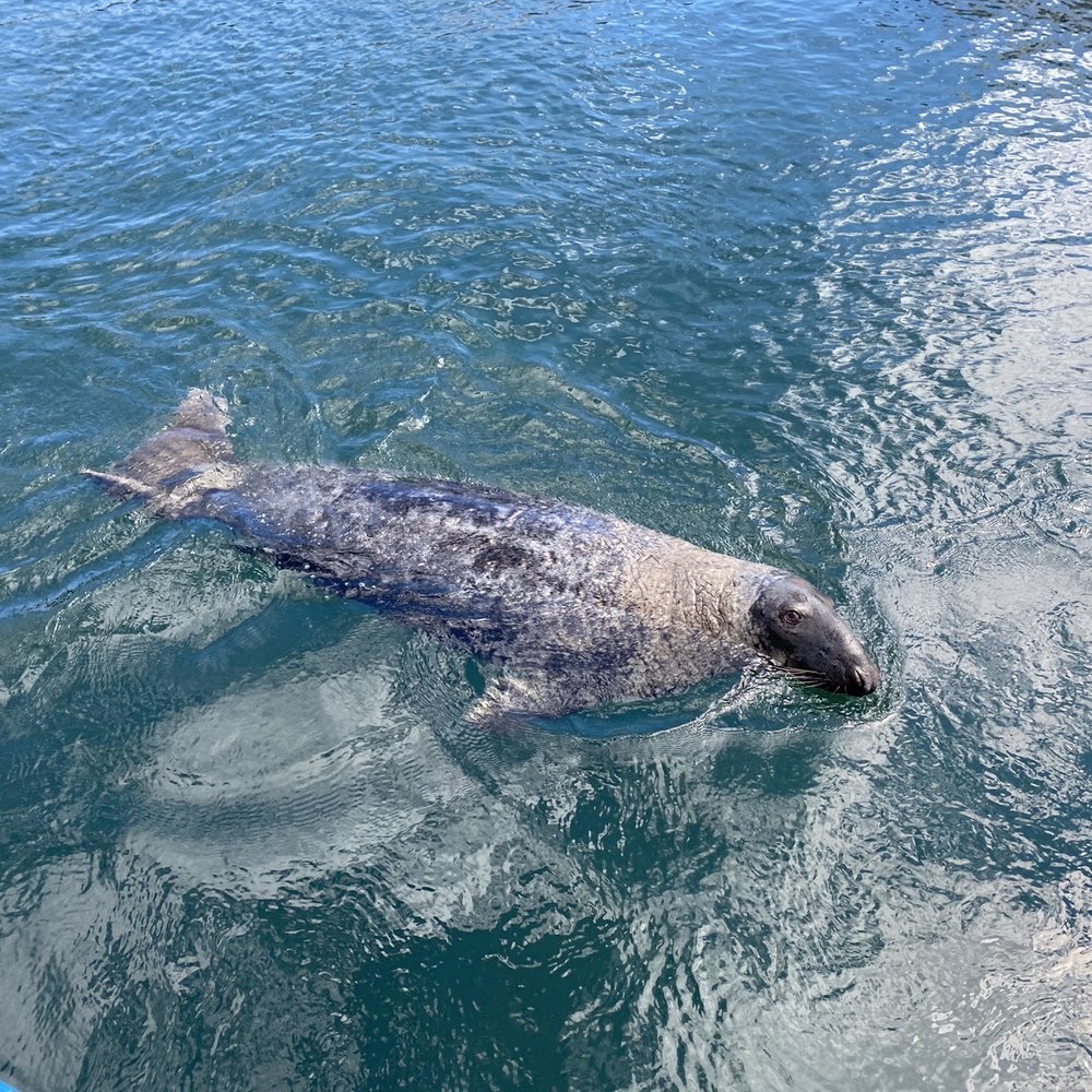 Seal of approval. Seal of approval.