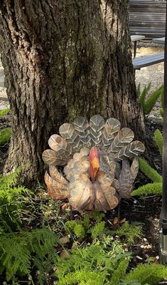 Live Oak Grill by null