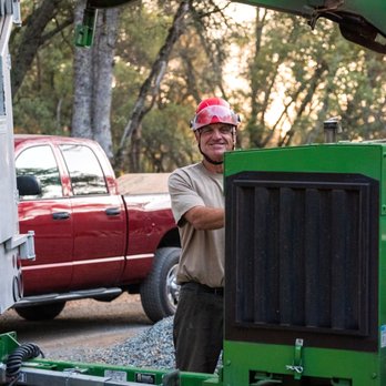 Capital Arborists Inc - a man standing next to a green machine - Tree Services Near Me Capital Arborists Inc - a man standing next to a green machine - Tree Services Near Me