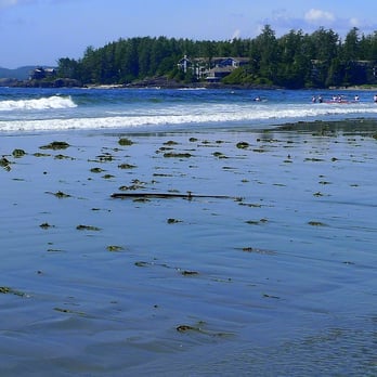 The Wickaninnish Inn - Looking back onto the Wick - Hotels Near Me - Tofino, British Columbia The Wickaninnish Inn - Looking back onto the Wick - Hotels Near Me - Tofino, British Columbia