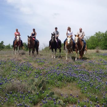 Touch of Chrome Trail Rides - Horseback Riding Near Me - Crowley, Texas Touch of Chrome Trail Rides - Horseback Riding Near Me - Crowley, Texas