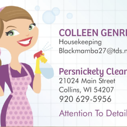 Persnickety Cleaning