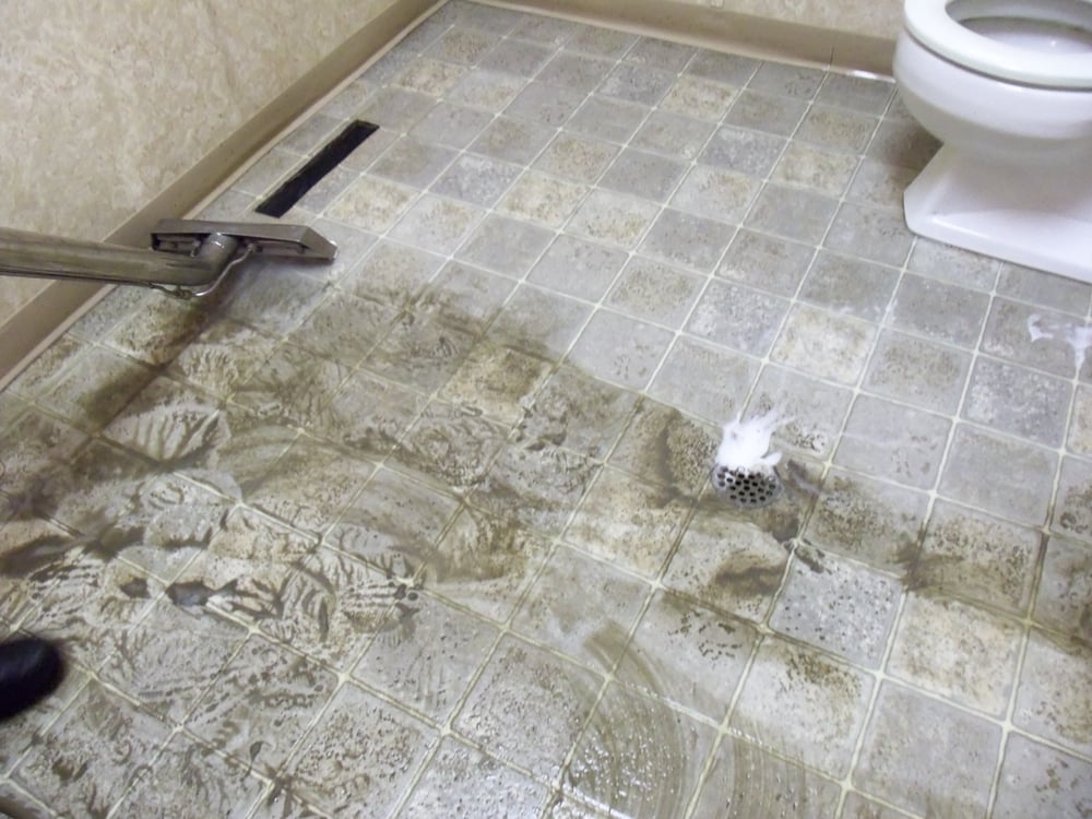 MERLE’S STEAM CLEAN CARPET & UPHOLSTERY Updated June 2024 3356