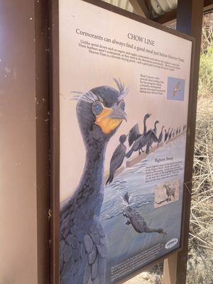 Hoover Dam Rafting Adventures by null