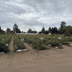 Ogden Bay Produce