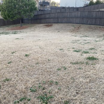 Weed Man - Pest Control Near Me - Roswell, Georgia Weed Man - Pest Control Near Me - Roswell, Georgia