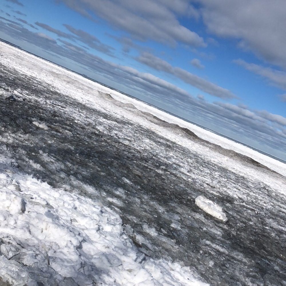 Sheldon Marsh State Nature Preserve - The frozen lake - Parks Near Me - Erie, Ohio Sheldon Marsh State Nature Preserve - The frozen lake - Parks Near Me - Erie, Ohio
