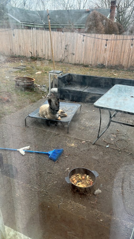 PLAIN & FANCY DOG SALON Updated September 2024 1593 Dutch Broadway