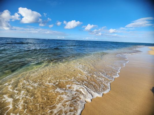 Diamond Head Beach Park by null