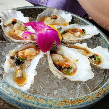 Ginza - Raw oyster - Sushi Bars Near Me - Philadelphia, Pennsylvania Ginza - Raw oyster - Sushi Bars Near Me - Philadelphia, Pennsylvania