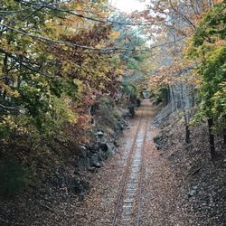 Whiskeag Trail