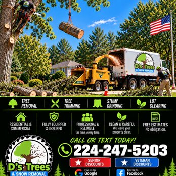 D's Trees - Tree Services Near Me - lake zurich, Illinois D's Trees - Tree Services Near Me - lake zurich, Illinois