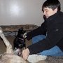 Photo of Purr-N-Paw Homecare