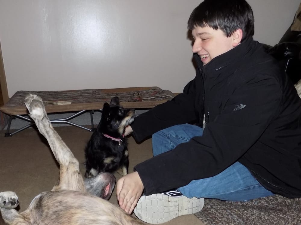 Purr-N-Paw Homecare - pet boarding facility in Grove City, OH