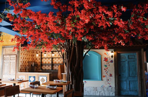 Mucho Gusto Barra + Cocina - Chicago by null
