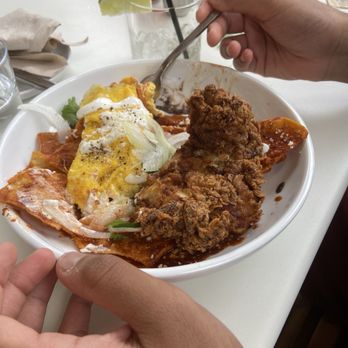 Paperboy South - Chilaquiles with fried chicken added. - Breakfast & Brunch Near Me - Austin, Texas