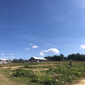 Montpelier Farms - Pumpkin Patches Near Me - Upper Marlboro, Maryland Montpelier Farms - Pumpkin Patches Near Me - Upper Marlboro, Maryland