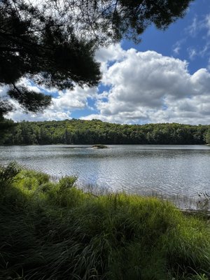 Arrowhead Provincial Park by null