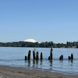 Reeder Beach RV Park & Country Store - Mt St Helen's
