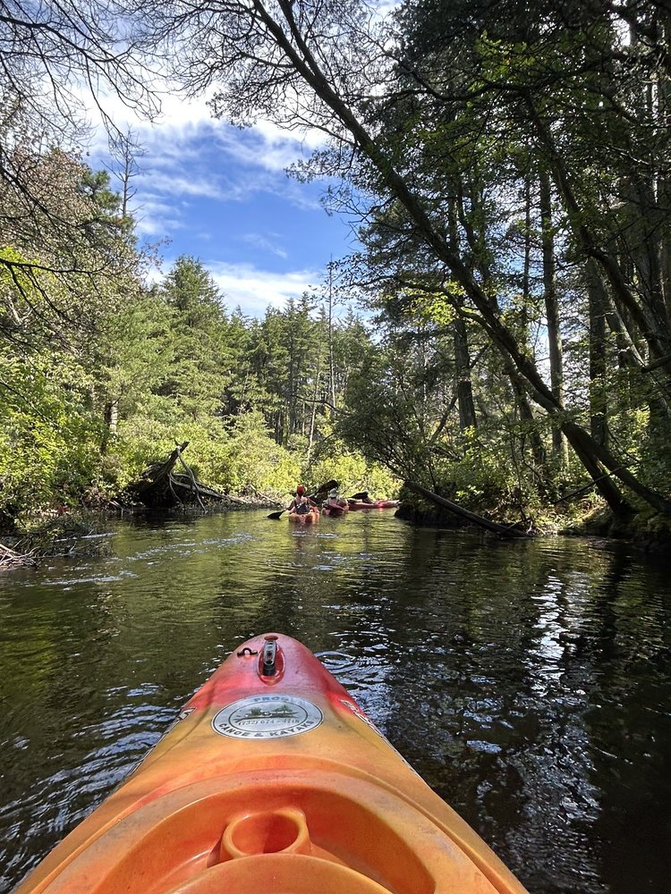 FROG CANOE KAYAK RENTALS Updated June 2024 13 Photos 1800 Double