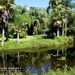 The Venus Project