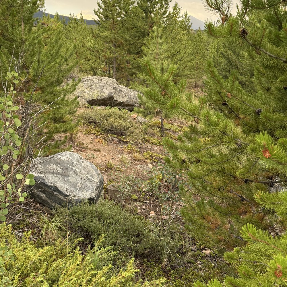 Heaton Bay Campground - July 23, 2026 - Beautiful campground. - Hiking Near Me - Silverthorne, Colorado Heaton Bay Campground - July 23, 2026 - Beautiful campground. - Hiking Near Me - Silverthorne, Colorado